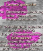 Profil Modellwohnung