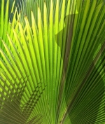 Profil Suche Hostessen