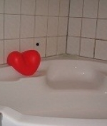 Hobbyhure annadssd Bild 1