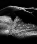 Profil Hostessenwohnung ges