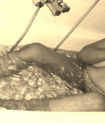 Hobbyhure Sabine Bild 2