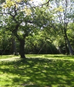 Party OutdoorPlayWeekend Bild 2