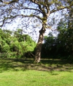 Zum Profil OutdoorPlayWeekend