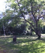 Party OutdoorPlayWeekend Bild 5