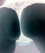 Profil Fickmaushh76