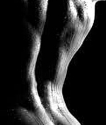 Escort Service Ladyboy Bild 1