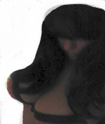 Profil kira
