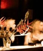 Gesuche Suchen Bild 1