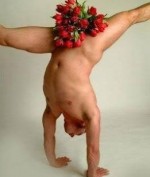 Profil bacchus