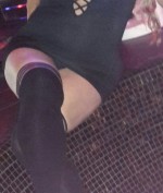 Profil susi