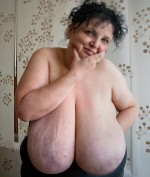 Profil venushana