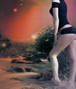 Profil Stella