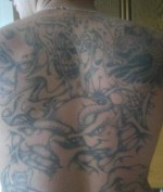 Profil Falk