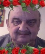 Gesuche Suche Bild 1