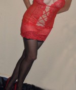 Profil ZierlicheSchmusekatz