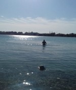 Er sucht Sie/Ihn Apxxy Bild 1