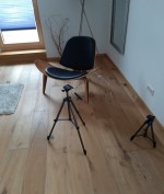 Gesuche Darstellerin Bild 2