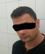 Profil lignin