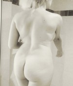 Profil Feuerschnecke