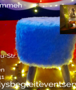 Profil PaddysBegleitService