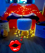 Profil PaddysBegleitService