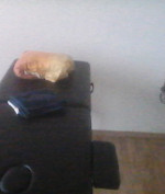 Callboy Callman Bild 1