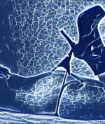 Profil sexyprivatgirl