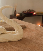 Profil Massagebaer