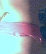 Hobbyhure HotzBlond Bild 2